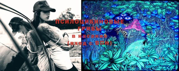 молекула духа Армянск