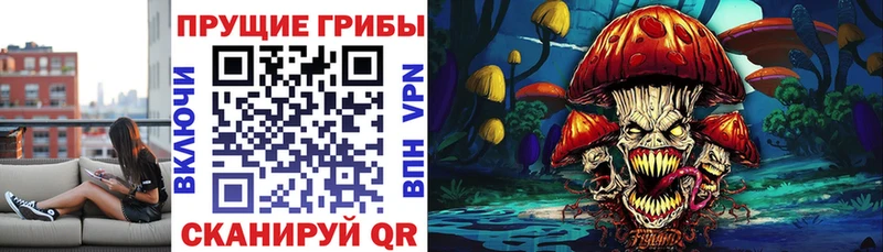 Галлюциногенные грибы GOLDEN TEACHER  Волгоград 